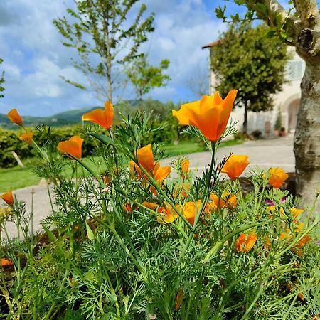 Le Piracante Bed & Breakfast Caiazzo Exterior photo