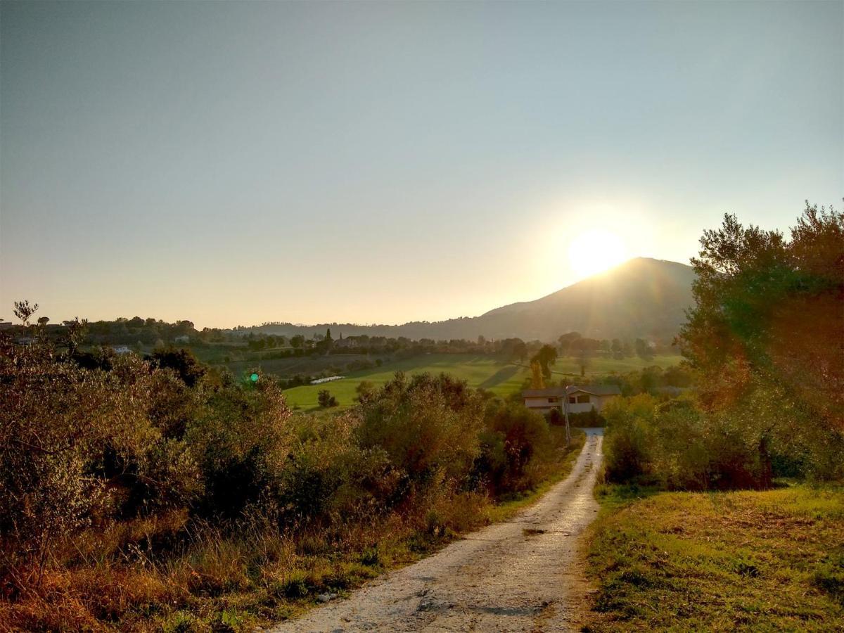 Le Piracante Bed & Breakfast Caiazzo Exterior photo