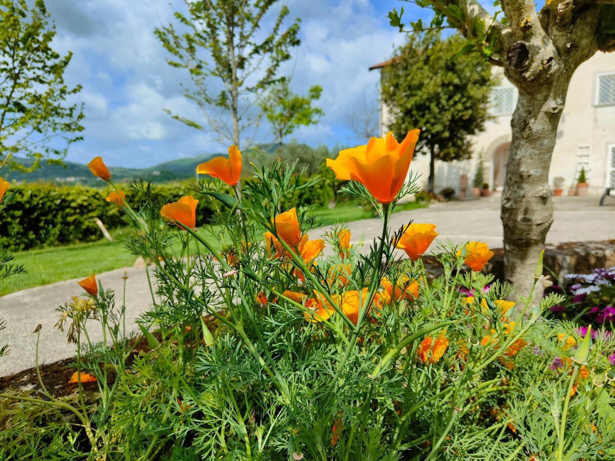 Le Piracante Bed & Breakfast Caiazzo Exterior photo